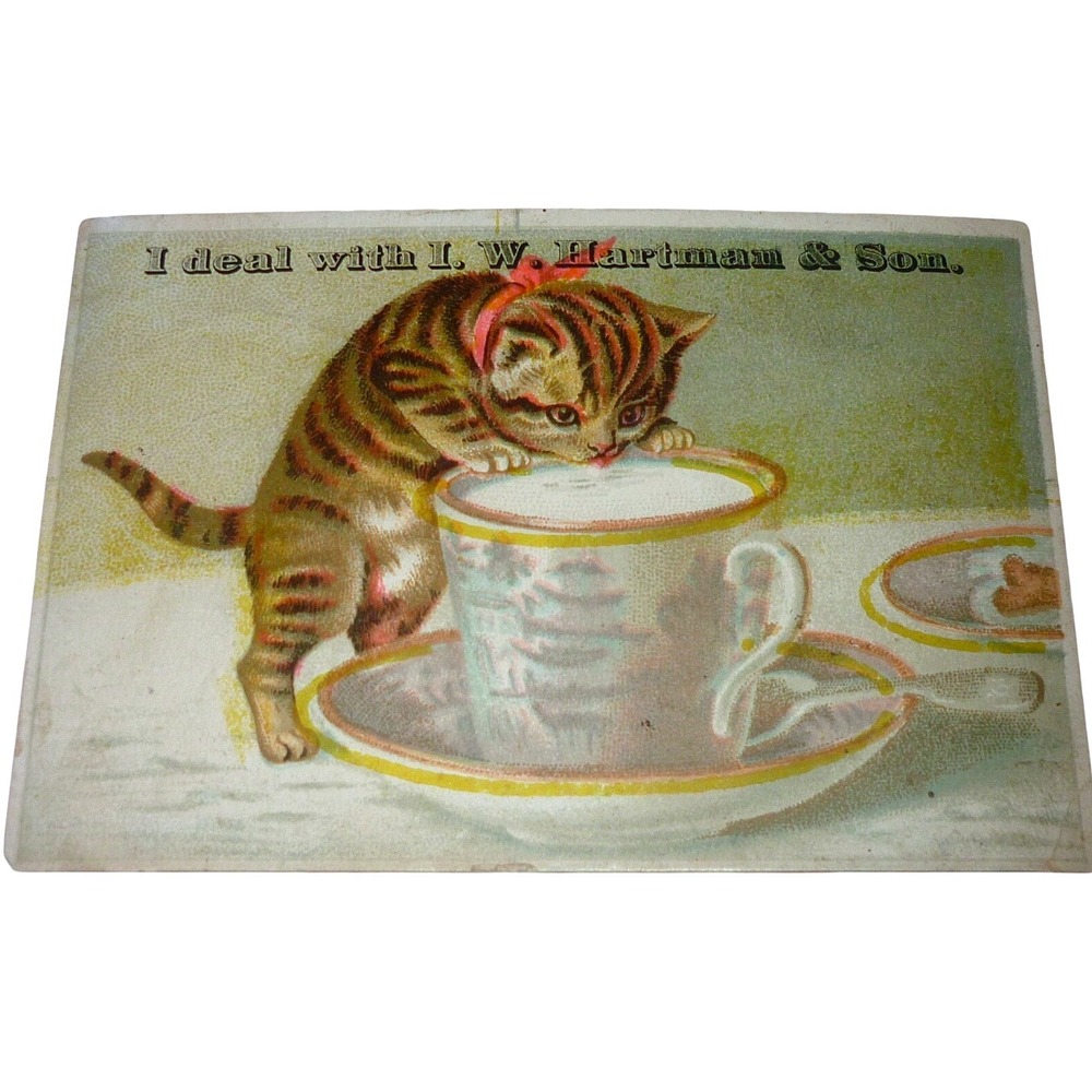 Victorian Trade Card I W. Hartman Son Philadelphia PA Tabby Kitten drinking Milk